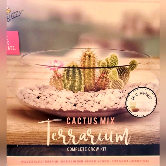 buzzy Other - TERRARIUM CACTUS KIT